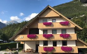 Apartments Maja By The River